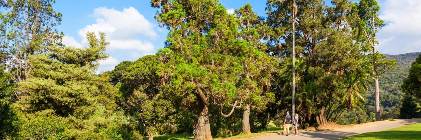 Hakgala Botanical Garden